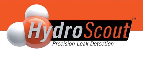 precision leak detection reviews|PRECISION LEAK DETECTION